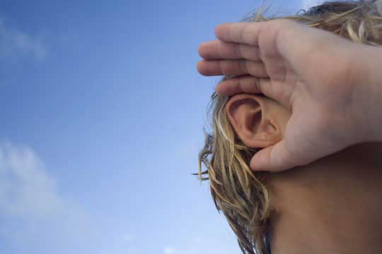 What have you&nbsp;heard?