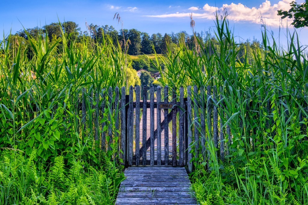 Consider the Claims of Christ this Christmas: ‘I am the&nbsp;gate’